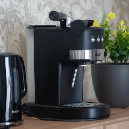 Hh Riz - Adults Only