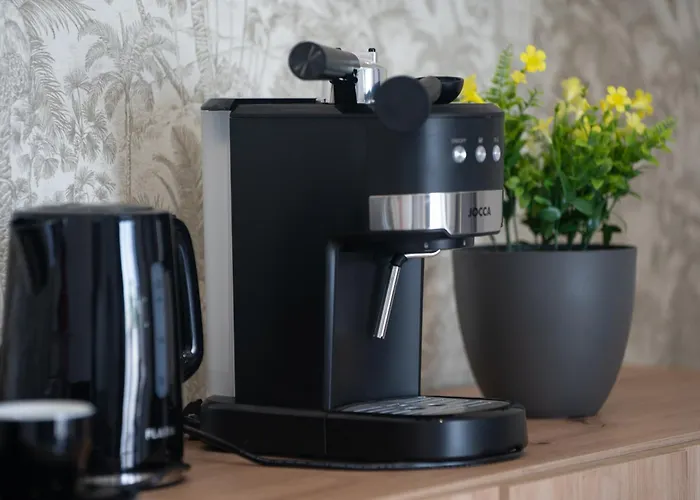 Hh Riz - Adults Only